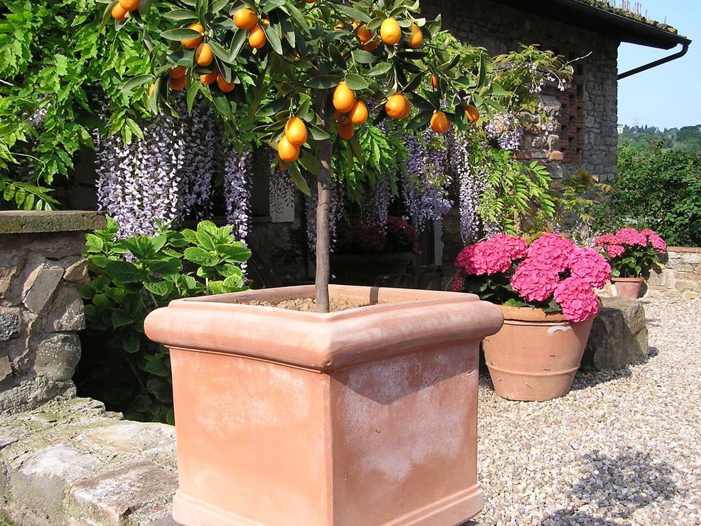 Il Poggiolo Delle Rose Bed&Breakfast Tavarnuzze Εξωτερικό φωτογραφία