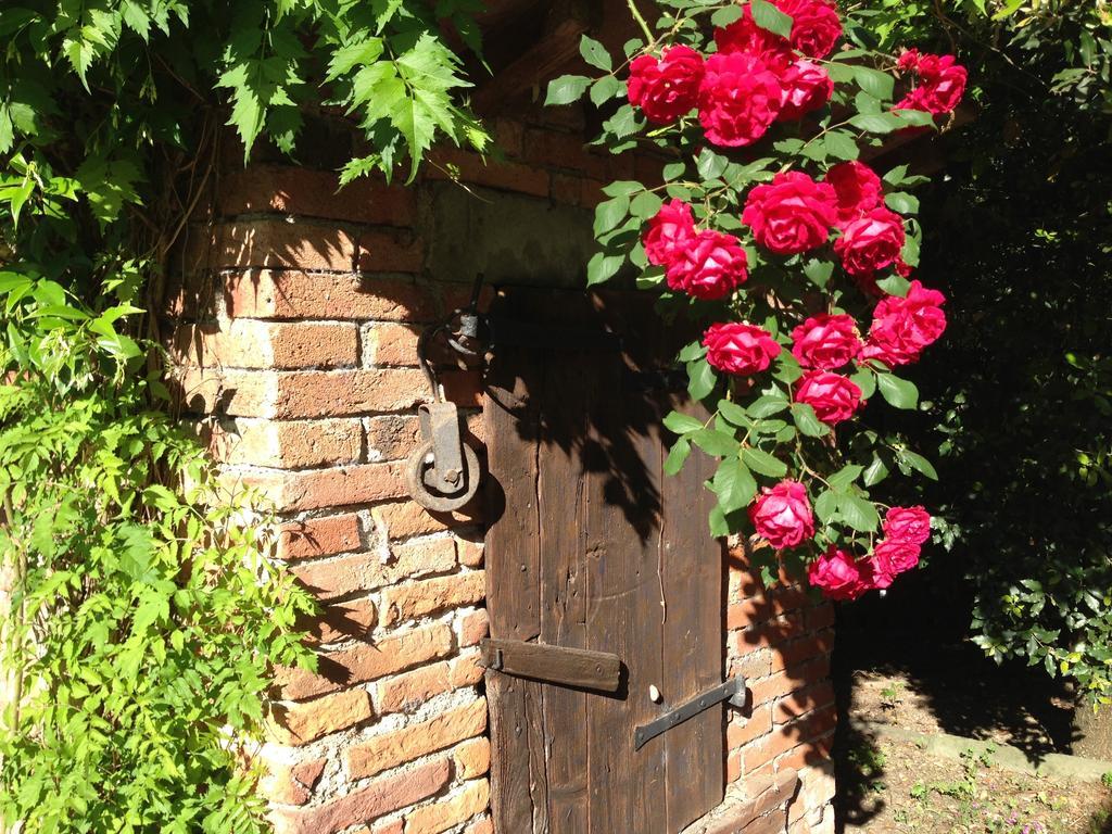 Il Poggiolo Delle Rose Bed&Breakfast Tavarnuzze Εξωτερικό φωτογραφία